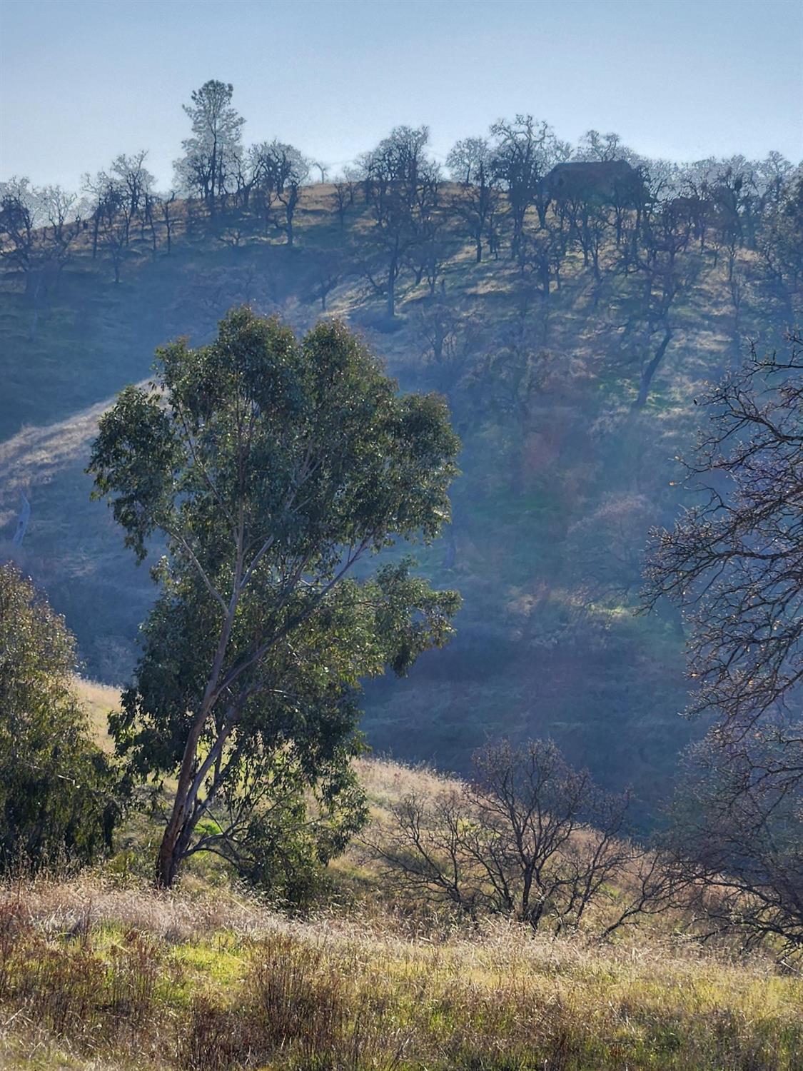 Penascal Road, La Grange, California image 21