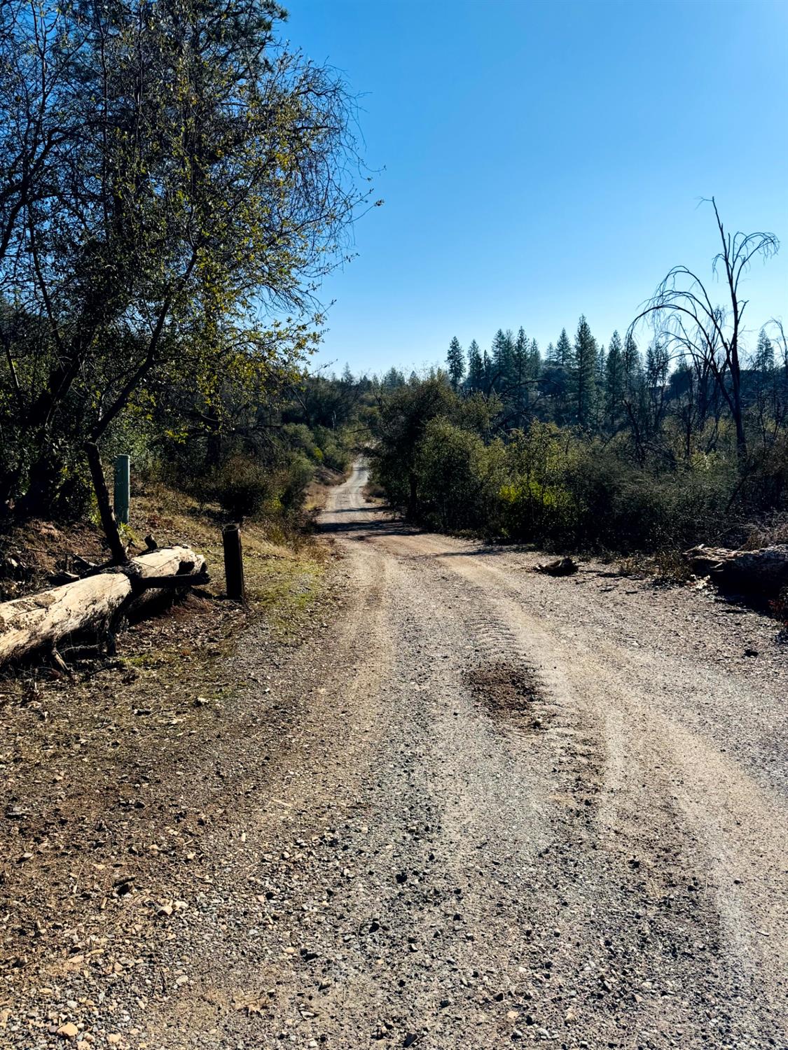 Rodesino Road, Mountain Ranch, California image 21