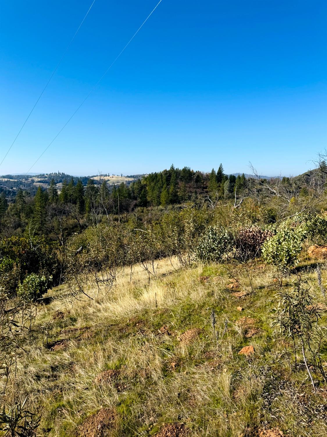 Rodesino Road, Mountain Ranch, California image 14