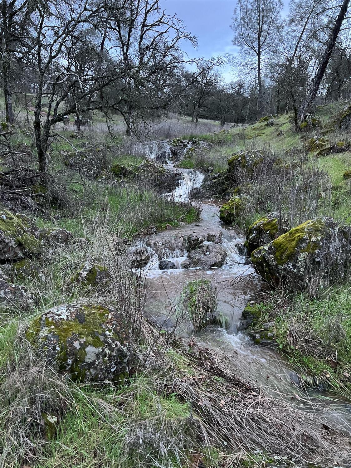 Scott Forbes Road, Browns Valley, California image 10