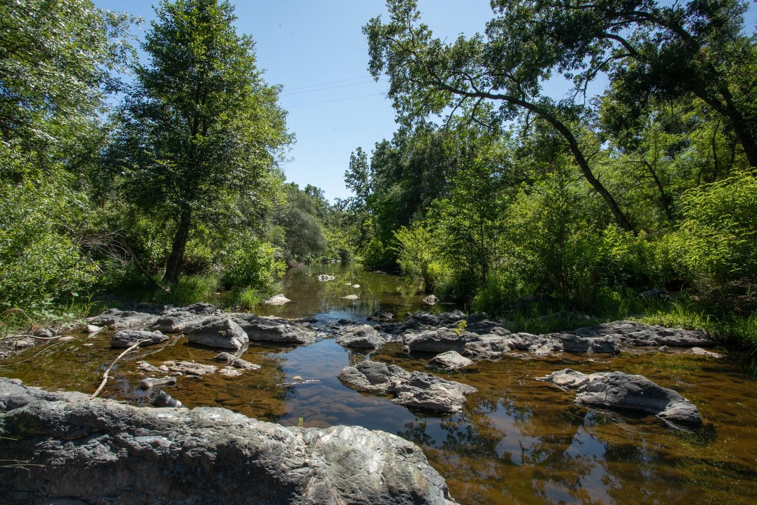 Scott Forbes Road, Browns Valley, California image 4