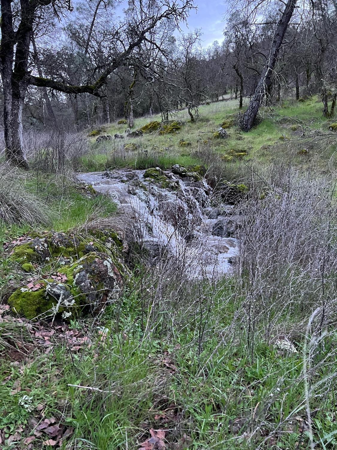 Scott Forbes Road, Browns Valley, California image 30