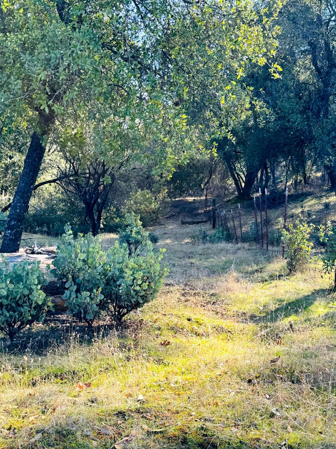 Rodesino Road, Mountain Ranch, California image 6