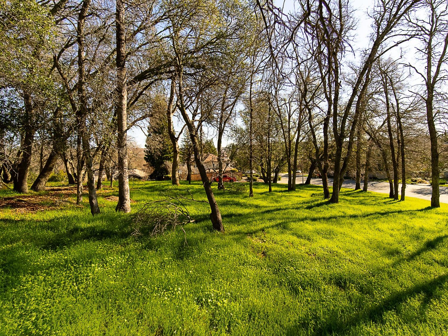 Linhurst Court, El Dorado Hills, California image 12