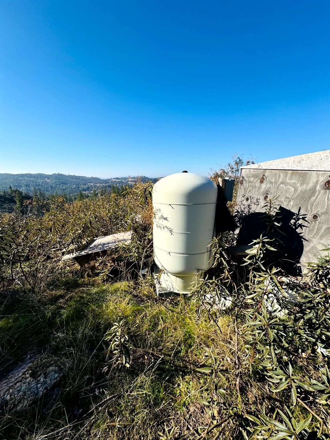 Rodesino Road, Mountain Ranch, California image 12