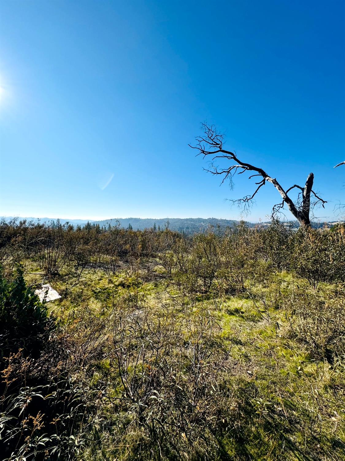 Rodesino Road, Mountain Ranch, California image 11