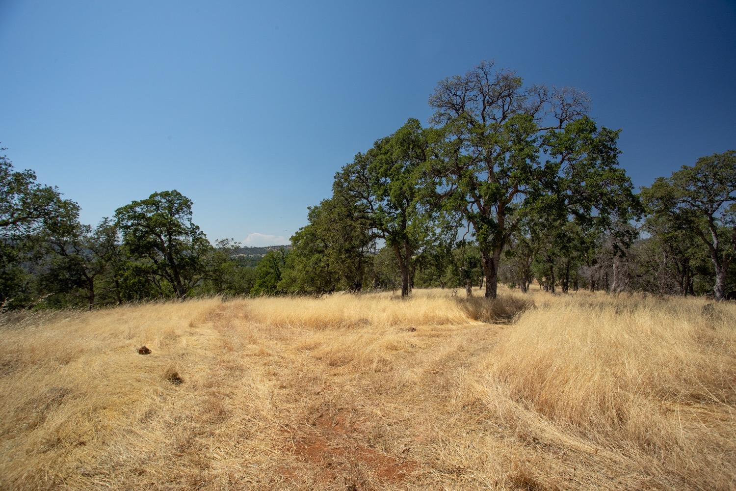 Scott Forbes Road, Browns Valley, California image 17