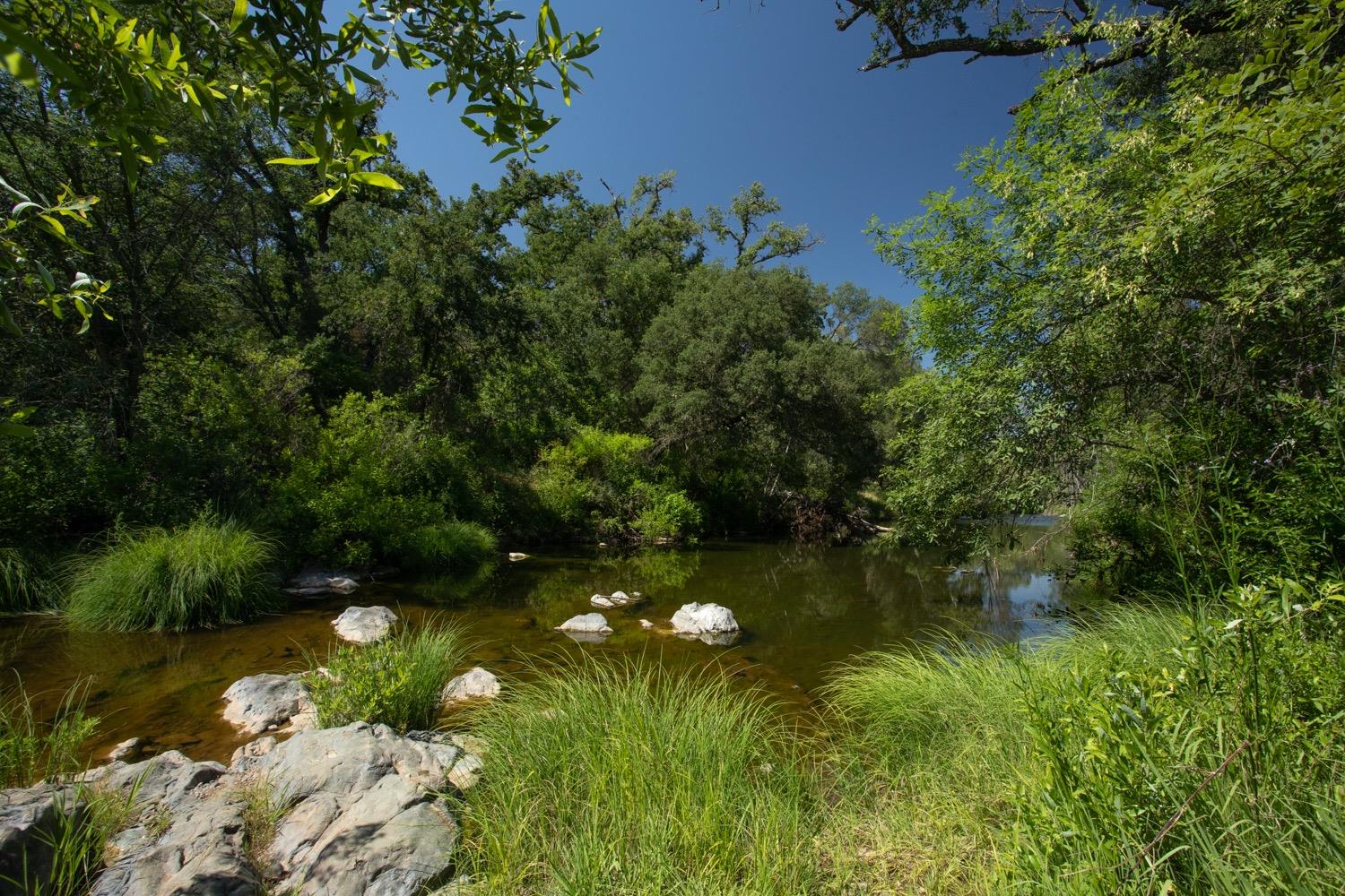 Scott Forbes Road, Browns Valley, California image 21