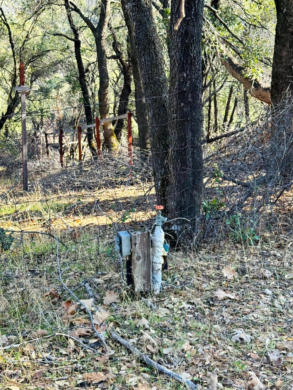 Rodesino Road, Mountain Ranch, California image 18