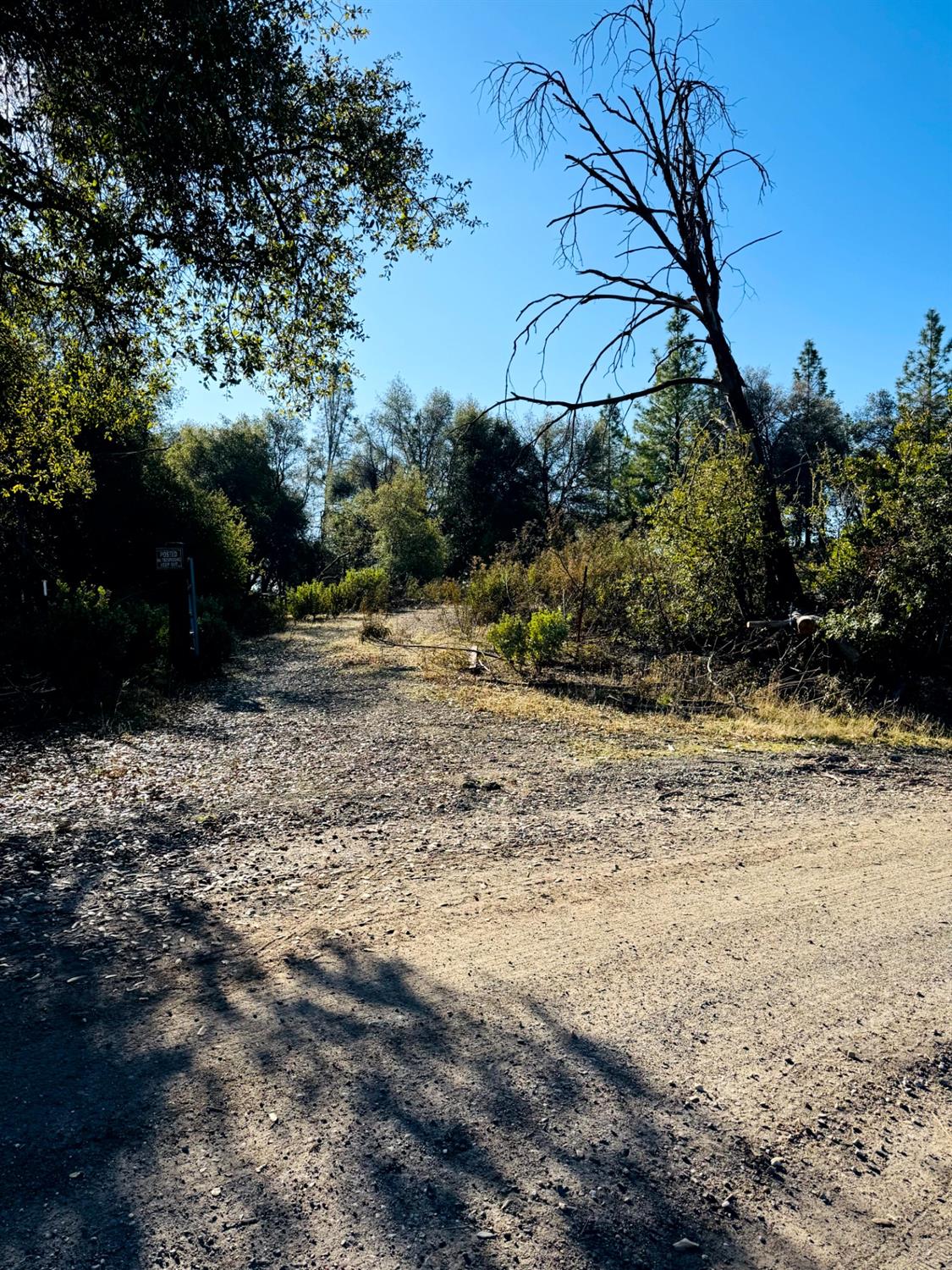 Rodesino Road, Mountain Ranch, California image 5