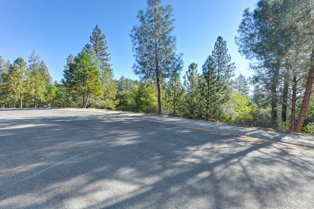 Quartz Mountain Drive, Placerville, California image 2