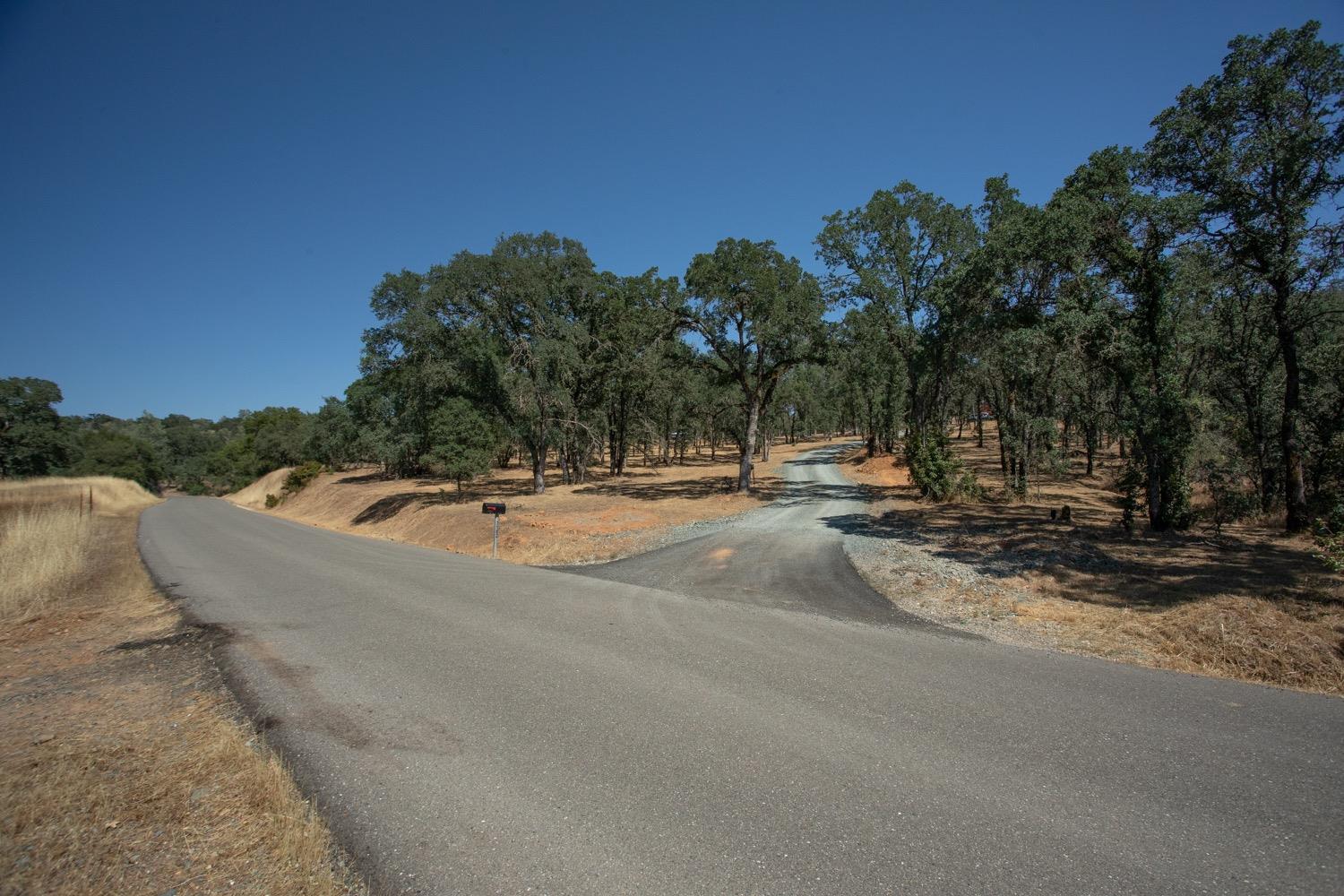 Scott Forbes Road, Browns Valley, California image 12