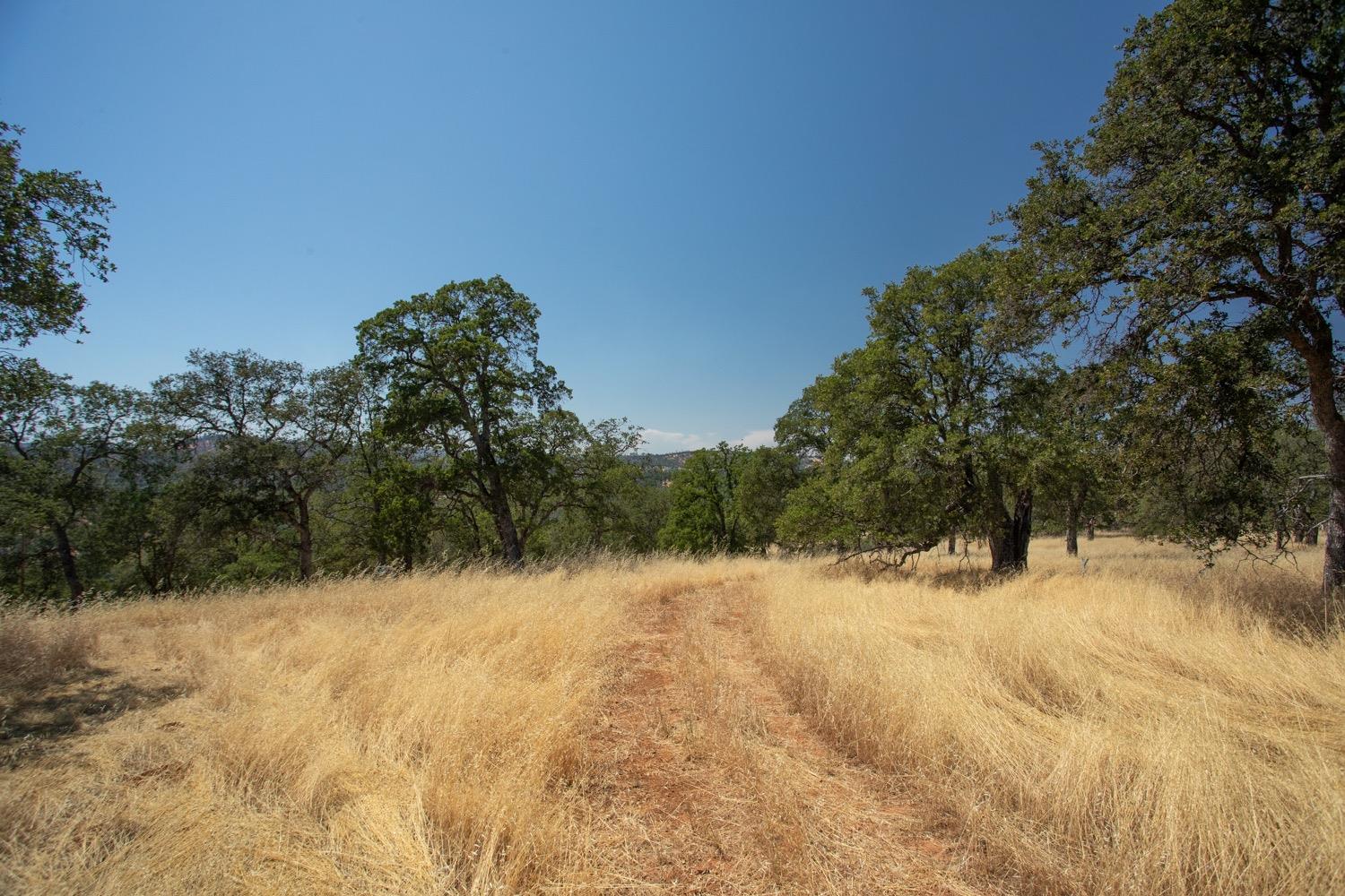 Scott Forbes Road, Browns Valley, California image 19