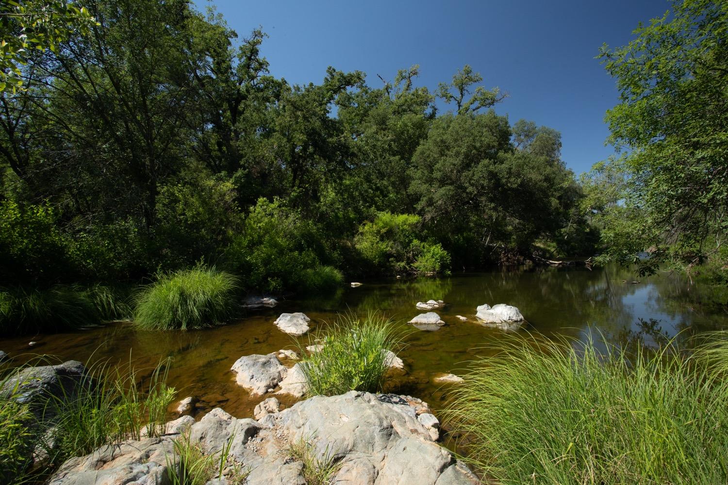 Scott Forbes Road, Browns Valley, California image 5