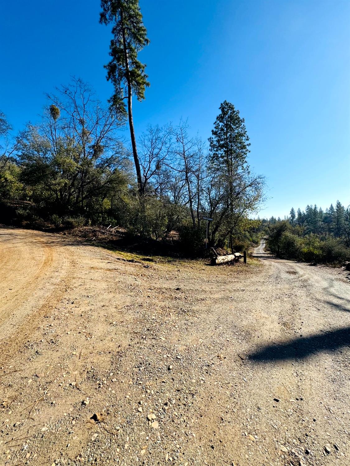 Rodesino Road, Mountain Ranch, California image 19