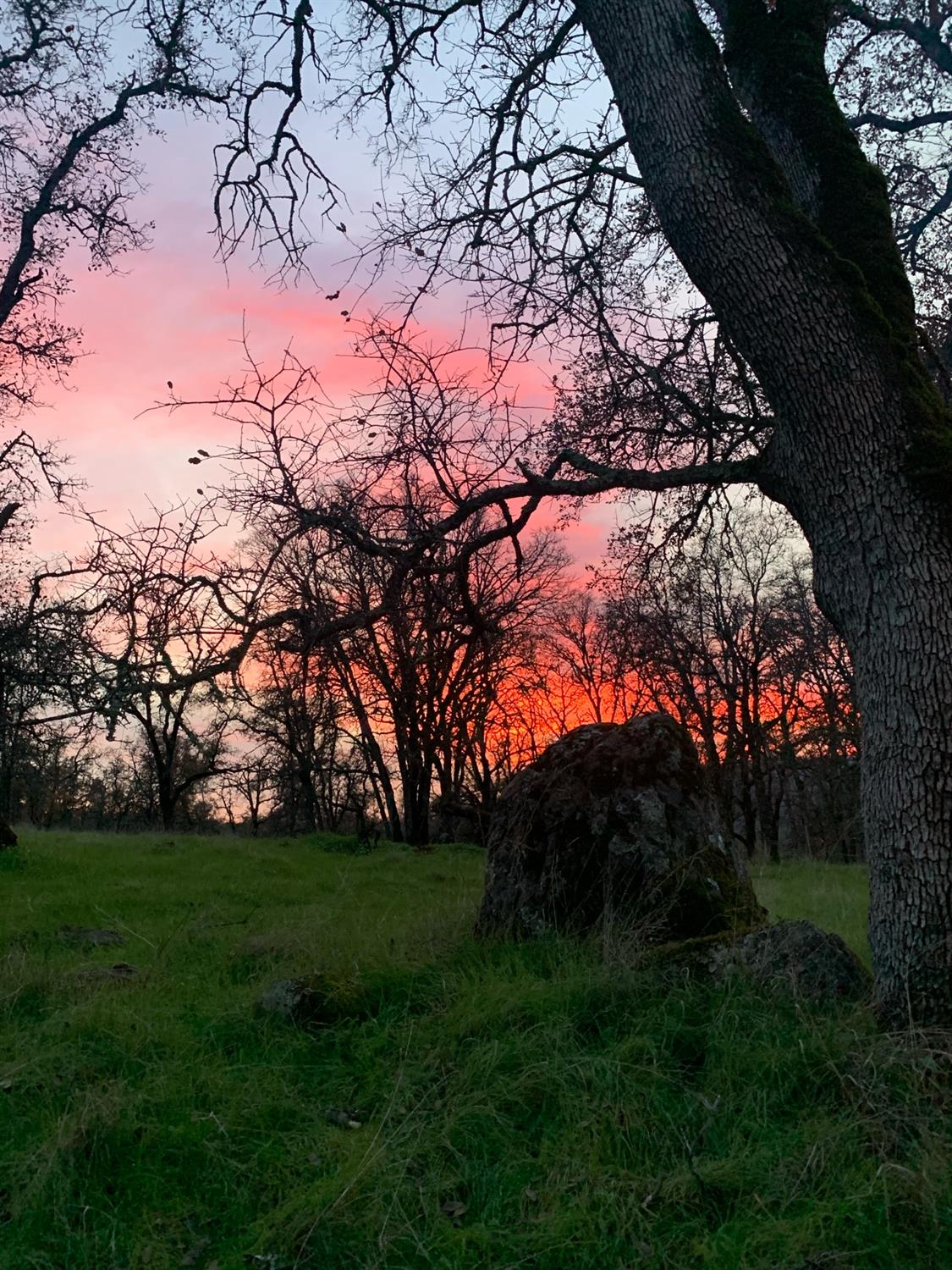 Scott Forbes Road, Browns Valley, California image 26