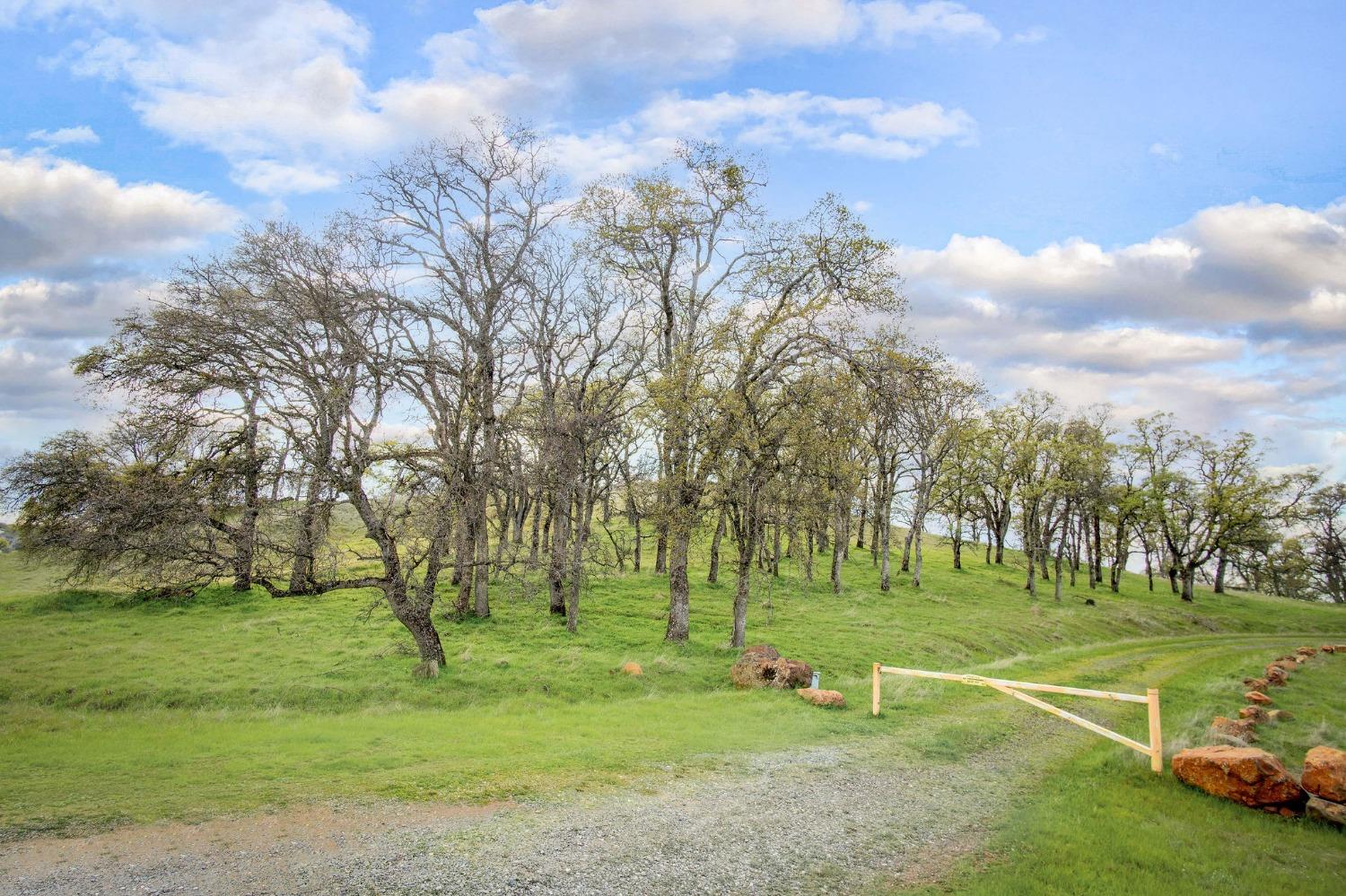 Dawnridge Court, Grass Valley, California image 2