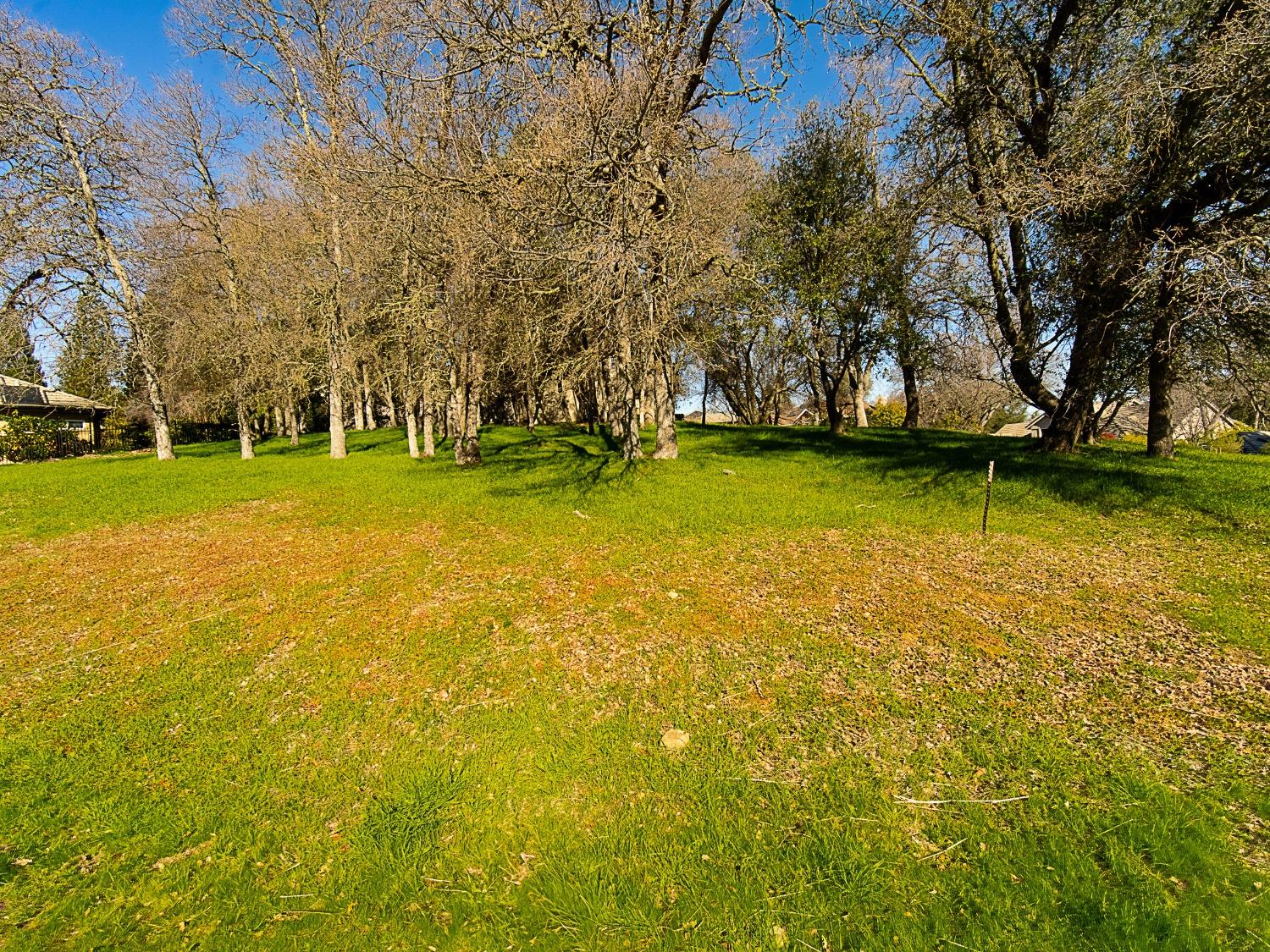 Linhurst Court, El Dorado Hills, California image 6