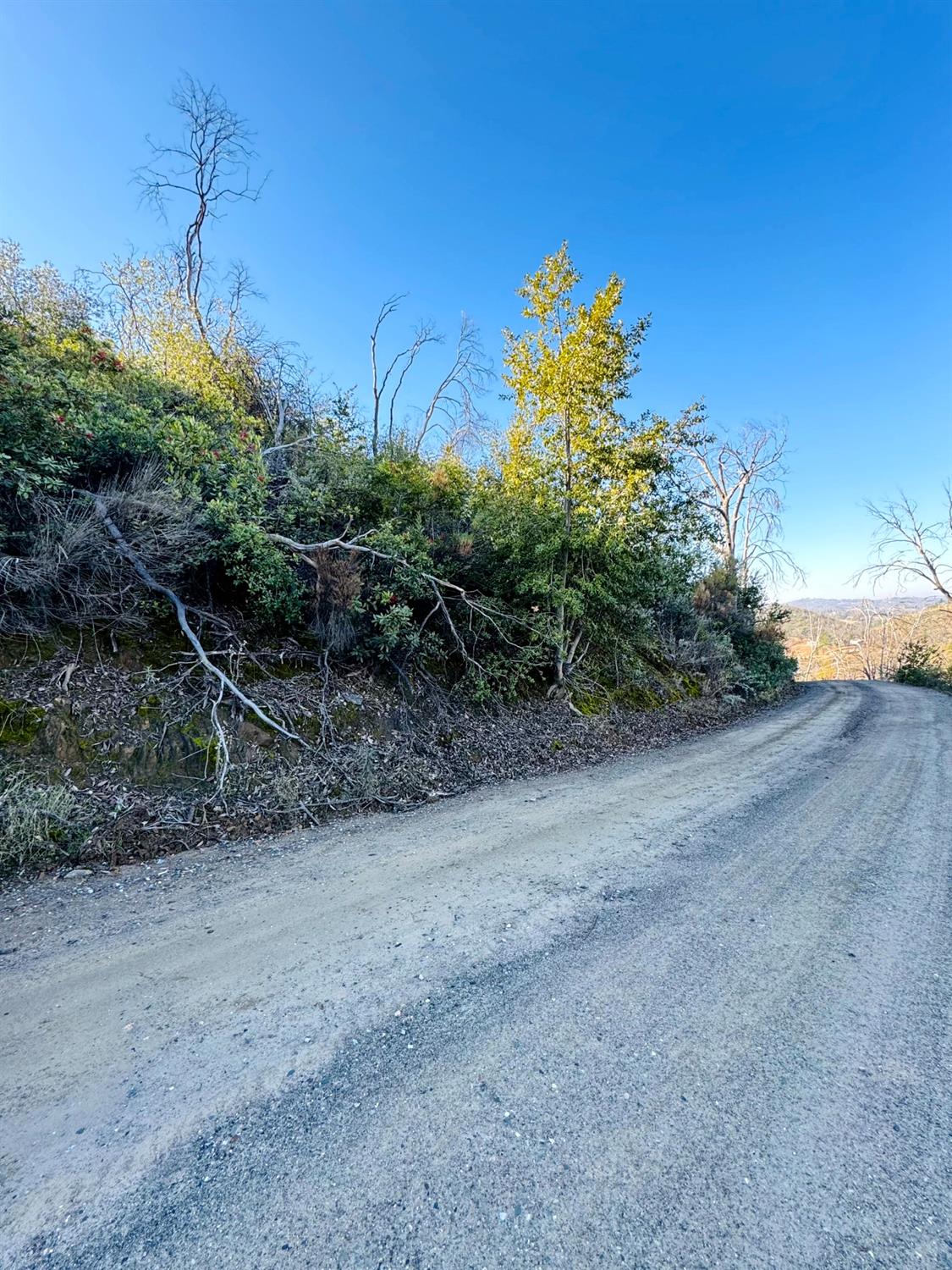 Rodesino Road, Mountain Ranch, California image 2