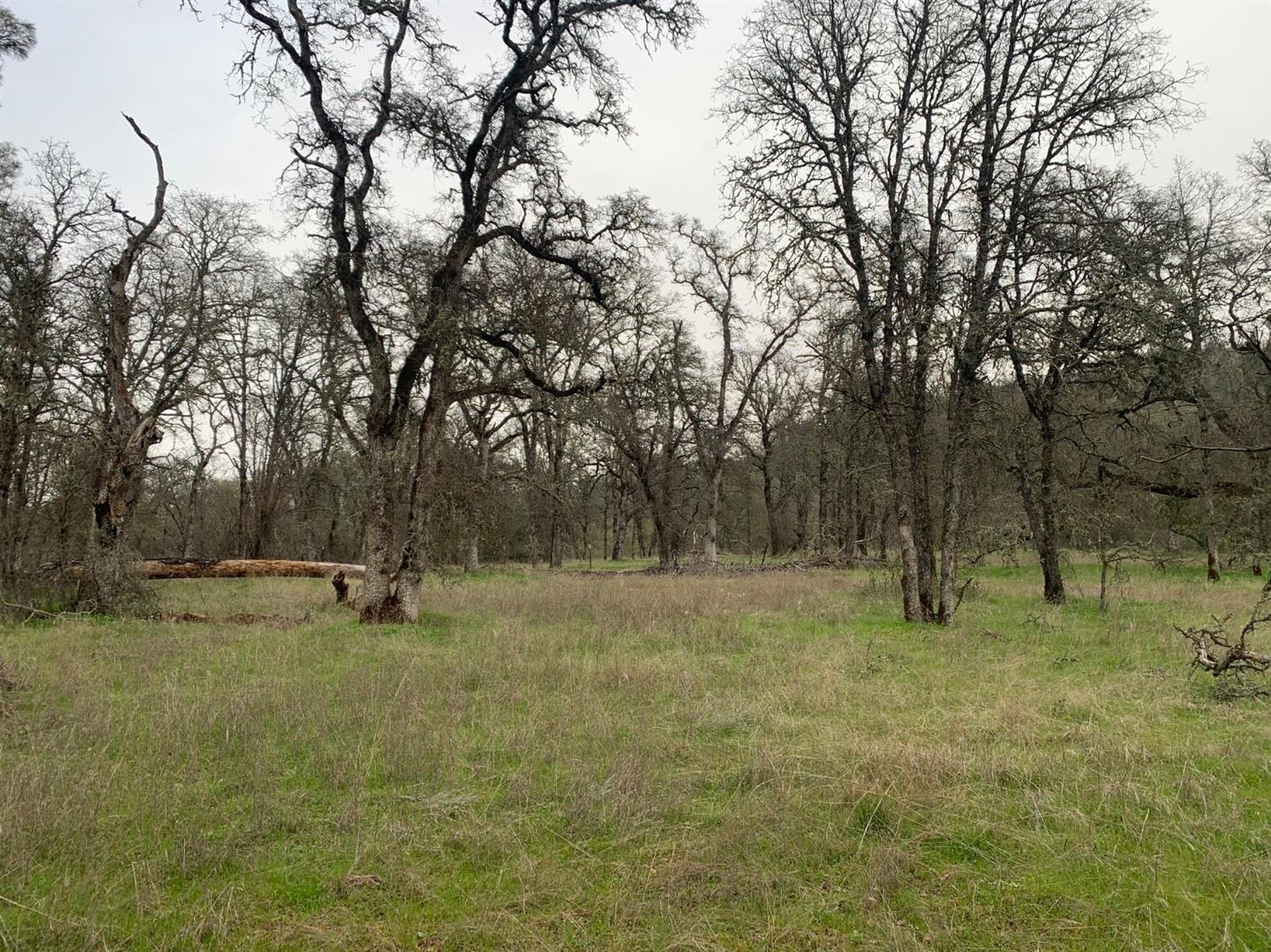 Scott Forbes Road, Browns Valley, California image 18