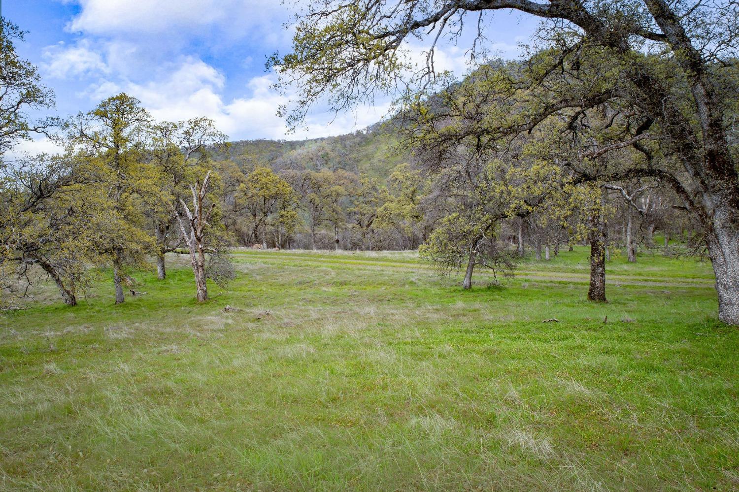 Dawnridge Court, Grass Valley, California image 1