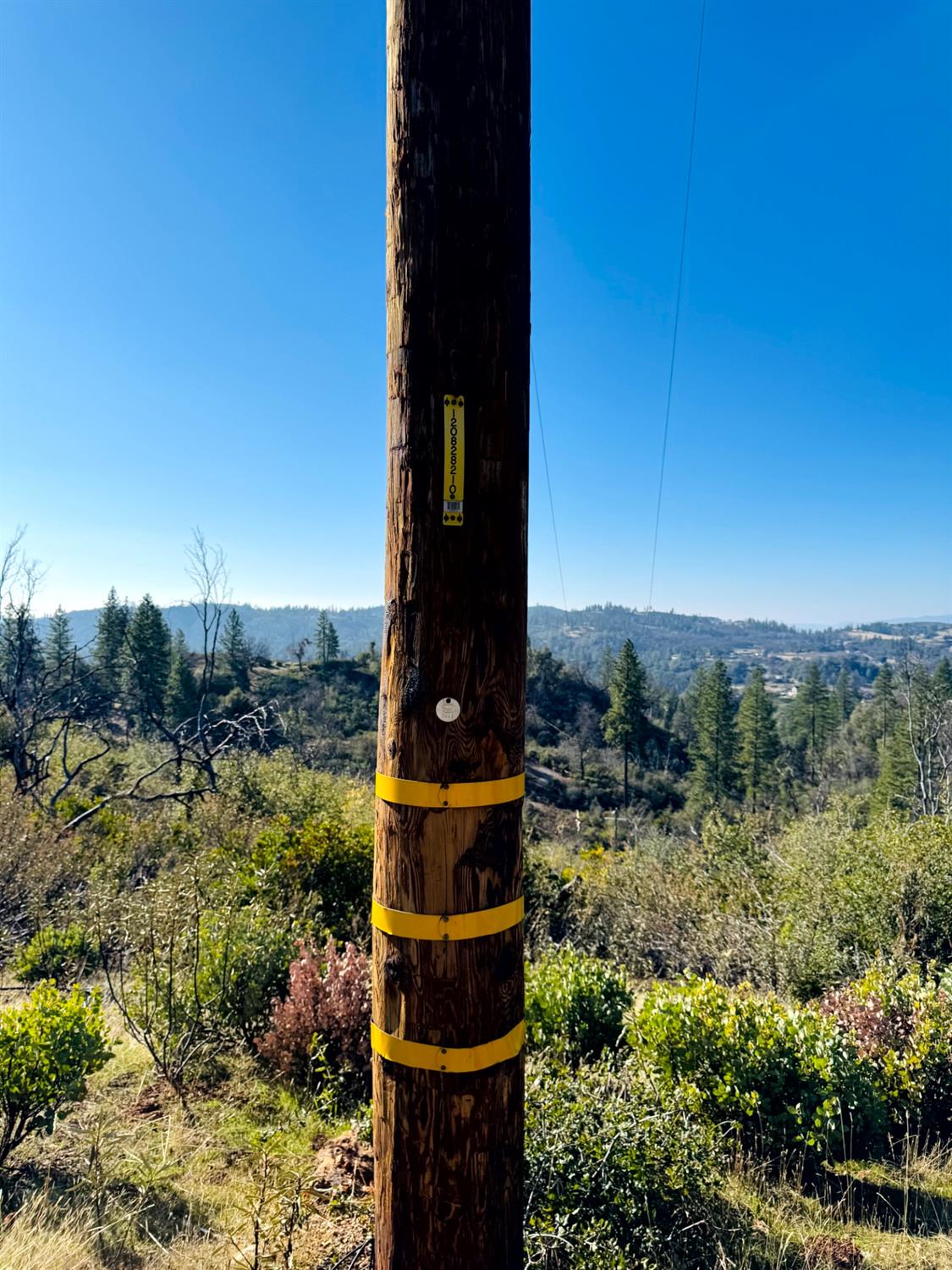 Rodesino Road, Mountain Ranch, California image 17