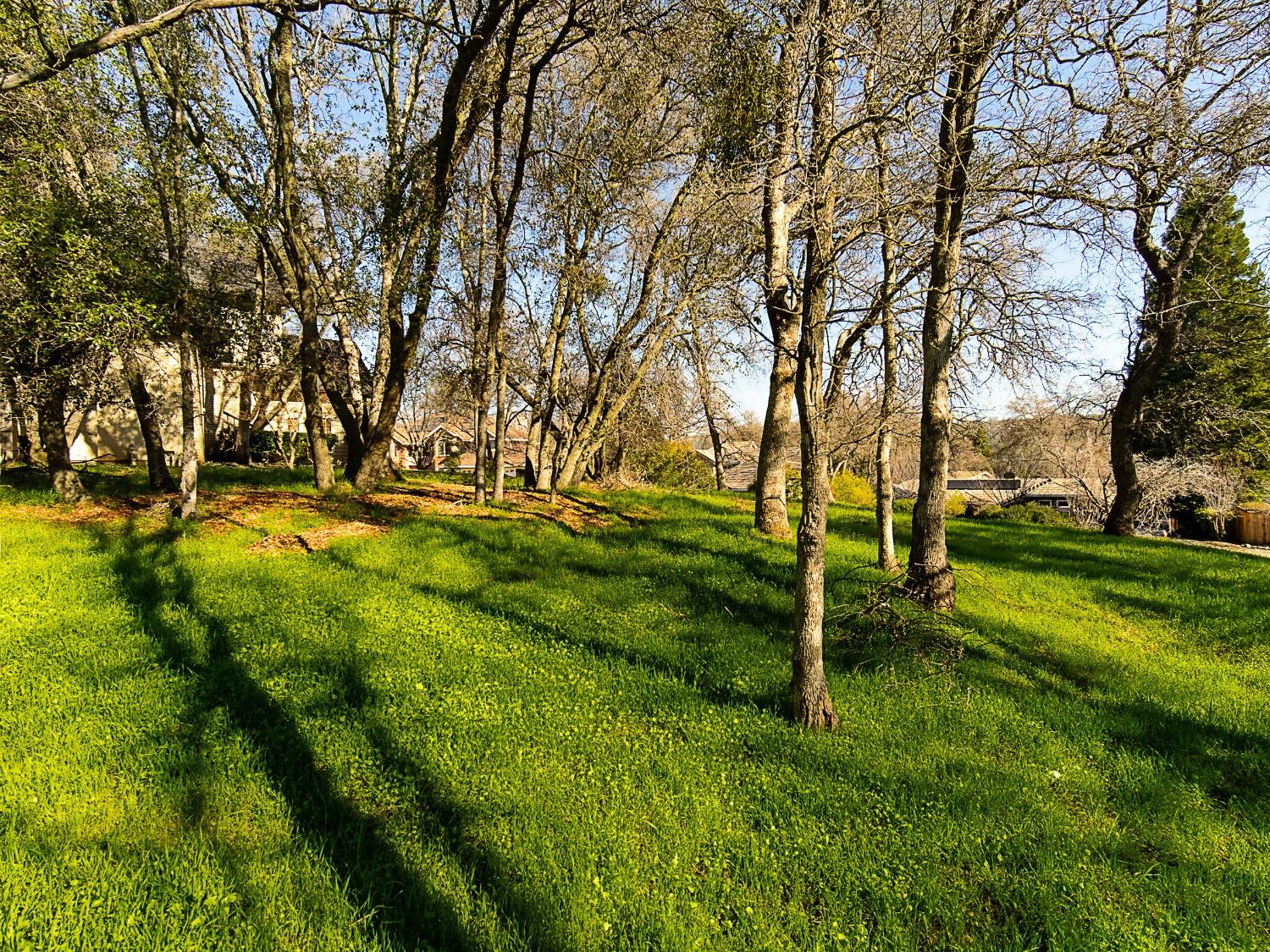 Linhurst Court, El Dorado Hills, California image 11