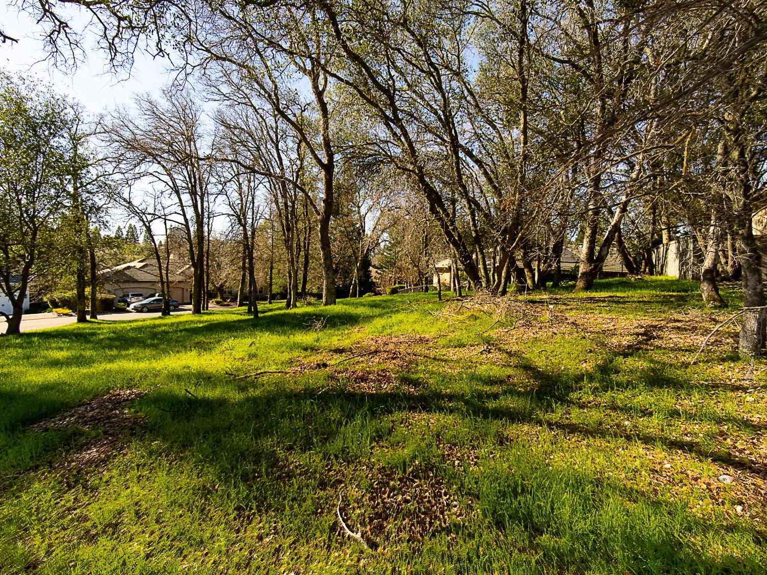 Linhurst Court, El Dorado Hills, California image 9