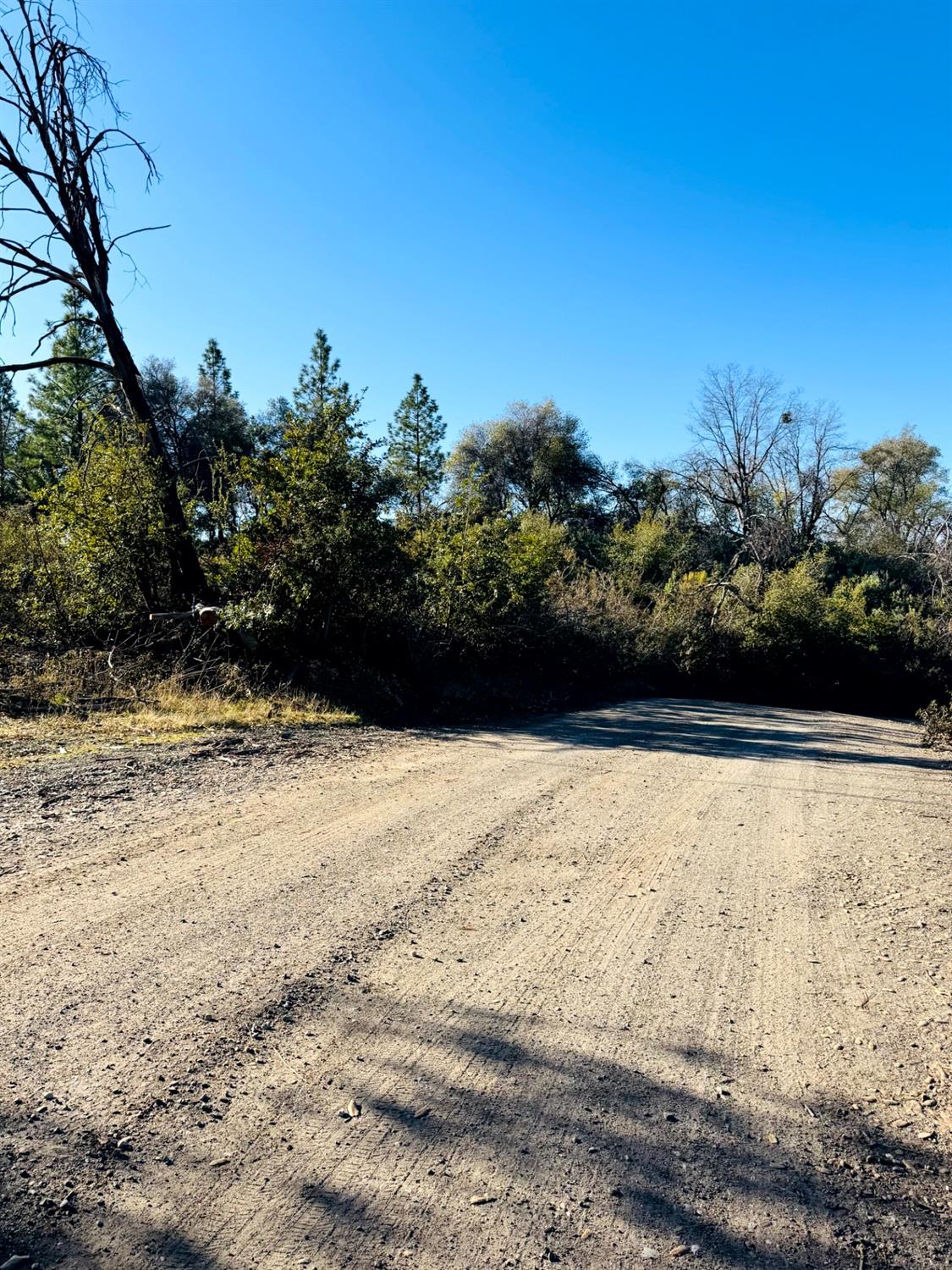 Rodesino Road, Mountain Ranch, California image 4