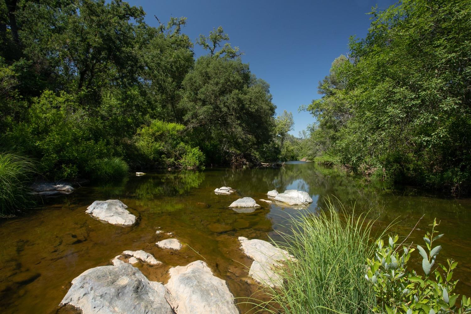 Scott Forbes Road, Browns Valley, California image 22