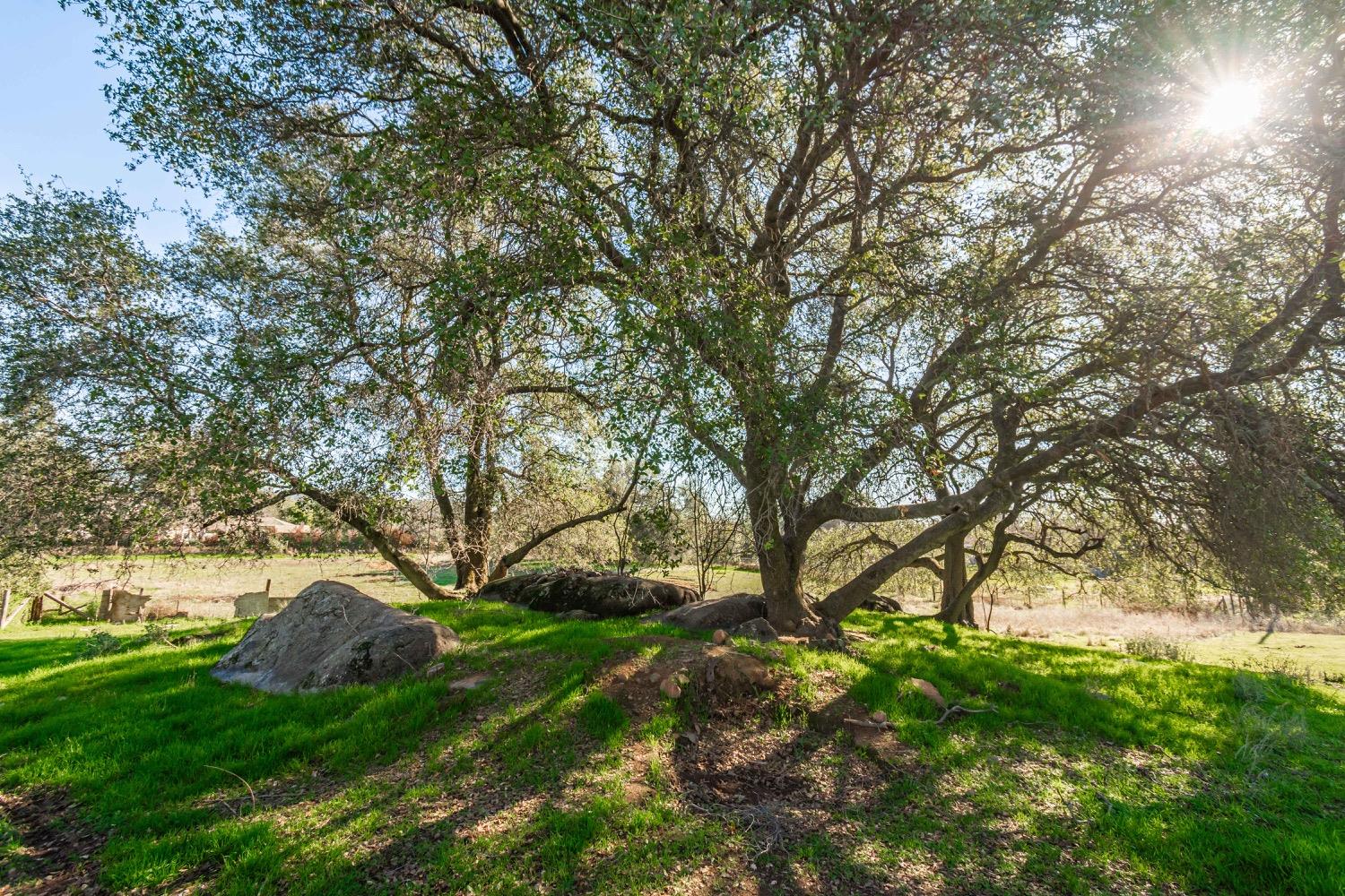 Hilltop Place, Loomis, California image 35