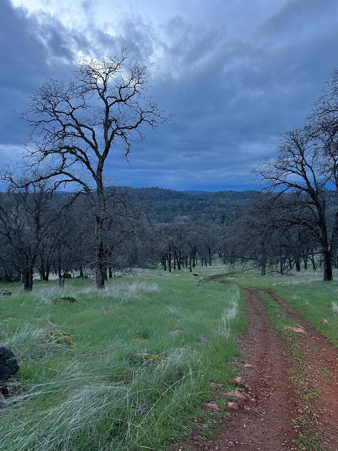 Scott Forbes Road, Browns Valley, California image 31