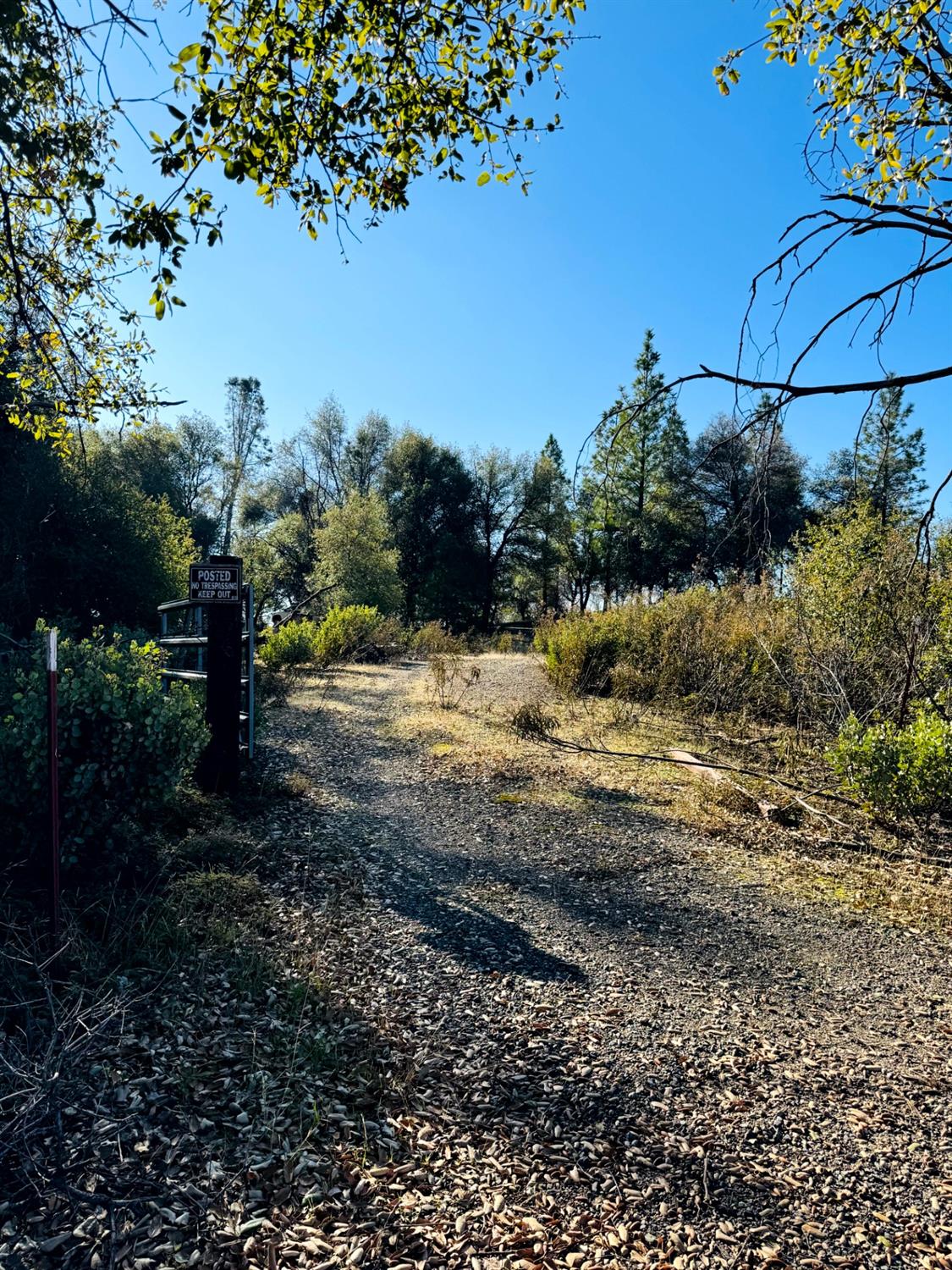 Rodesino Road, Mountain Ranch, California image 3