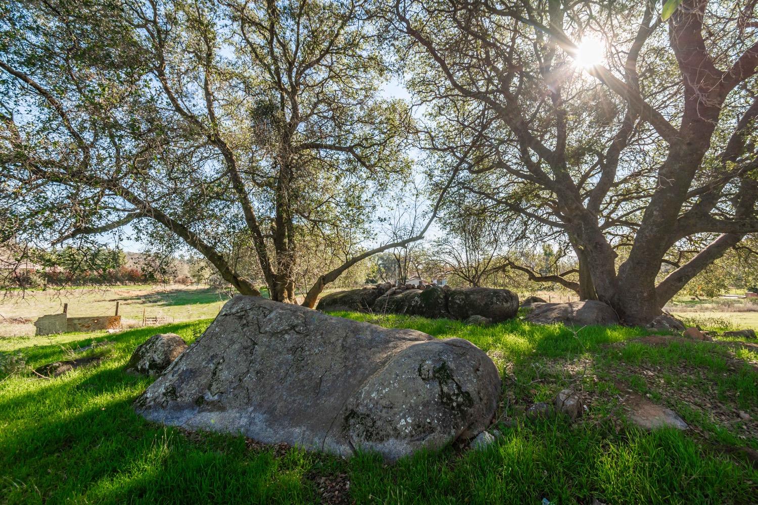 Hilltop Place, Loomis, California image 32