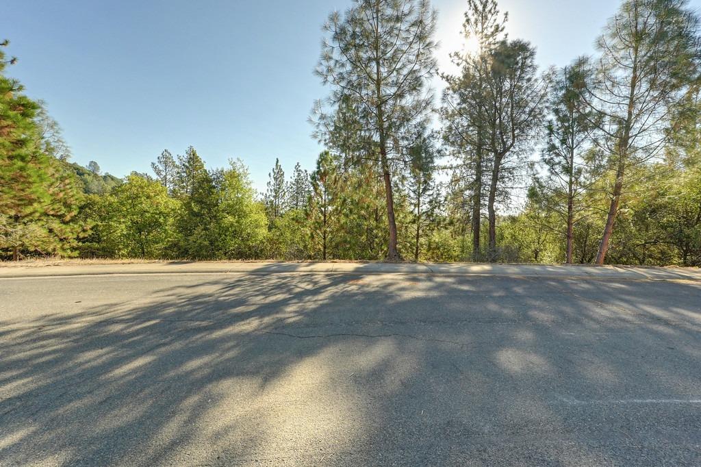 Quartz Mountain Drive, Placerville, California image 3