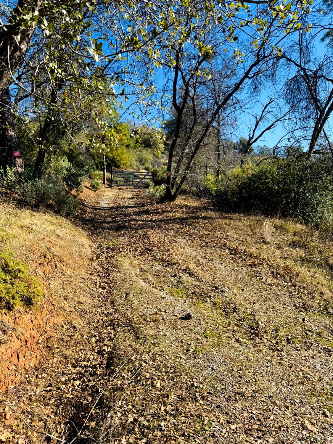 Rodesino Road, Mountain Ranch, California image 22