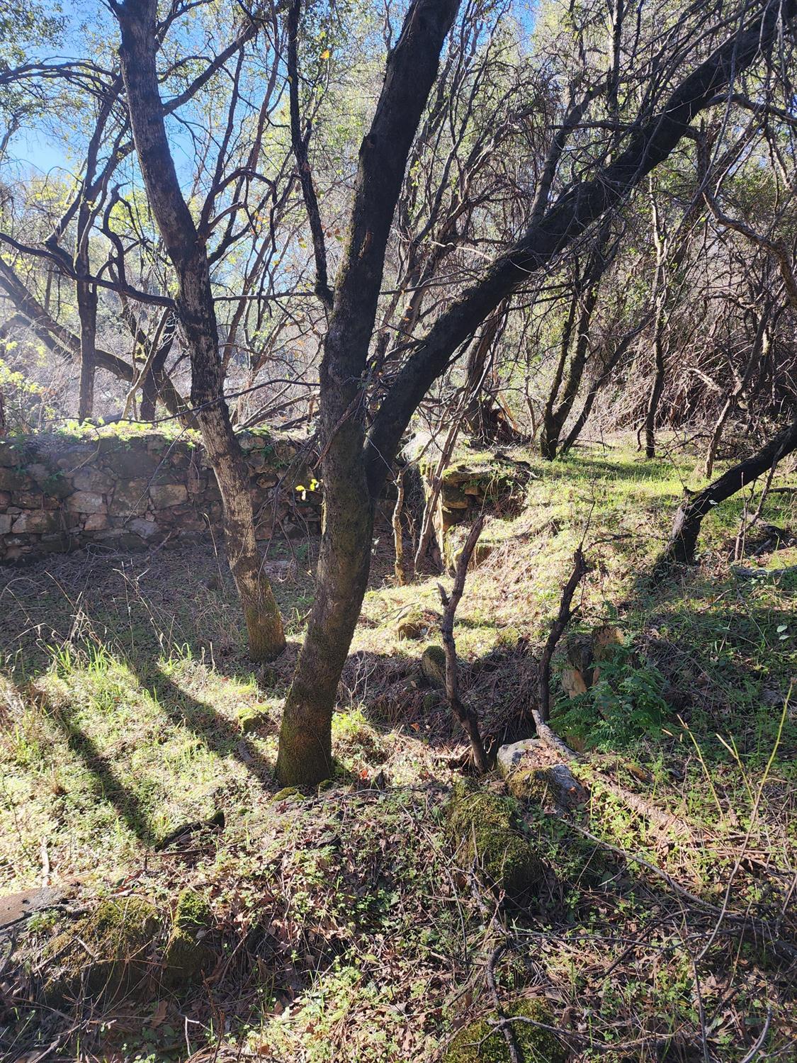 La Porte, Rackerby, California image 3