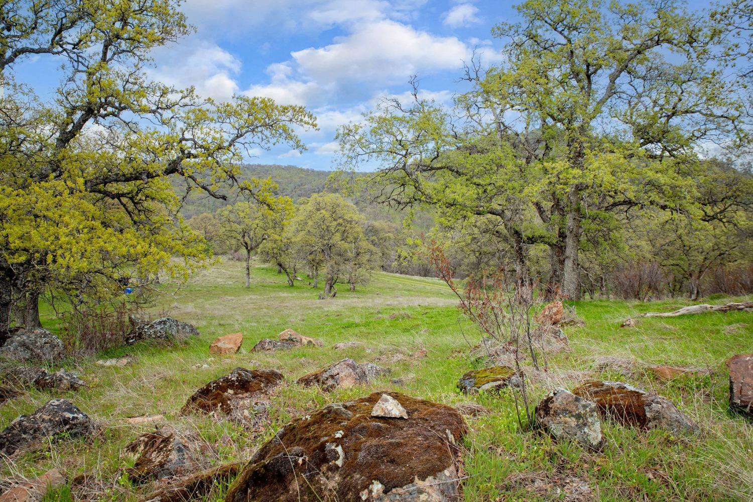 Dawnridge Court, Grass Valley, California image 35