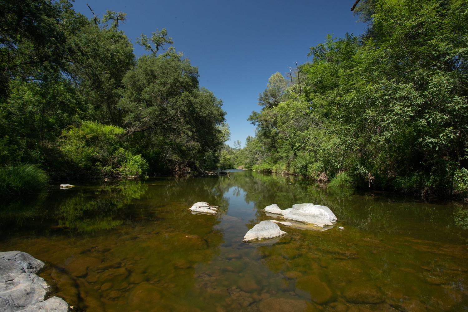 Scott Forbes Road, Browns Valley, California image 23