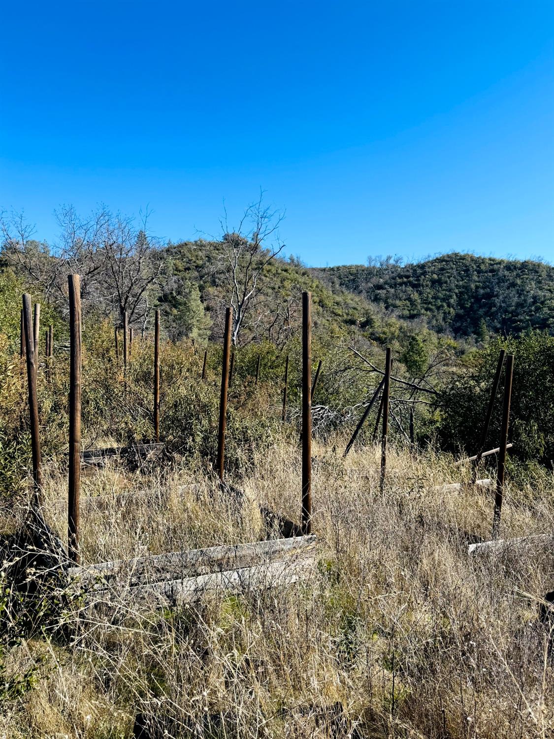 Rodesino Road, Mountain Ranch, California image 16