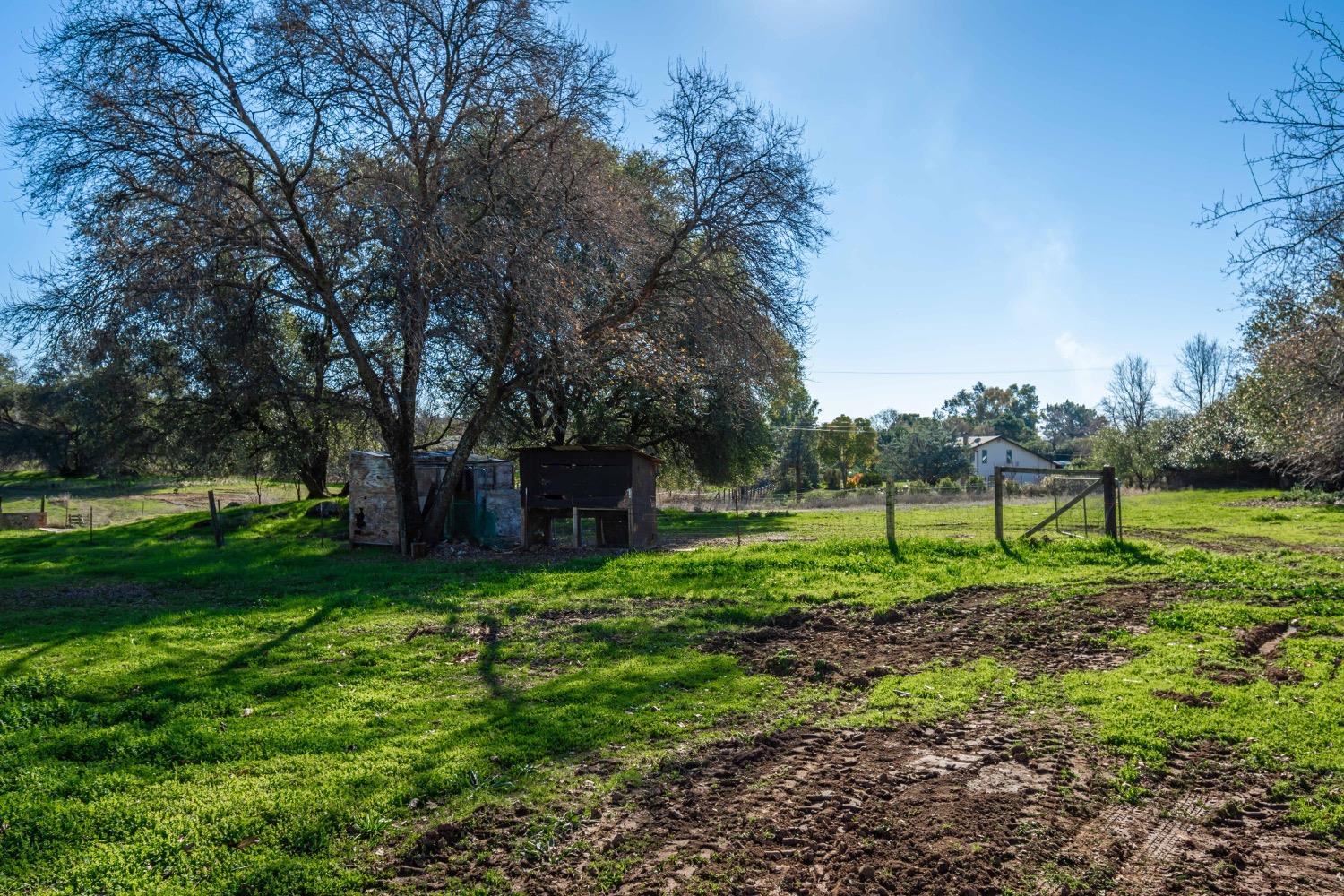 Hilltop Place, Loomis, California image 47