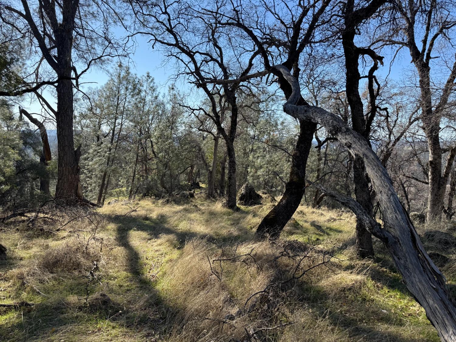 Applejack Drive, Grass Valley, California image 8