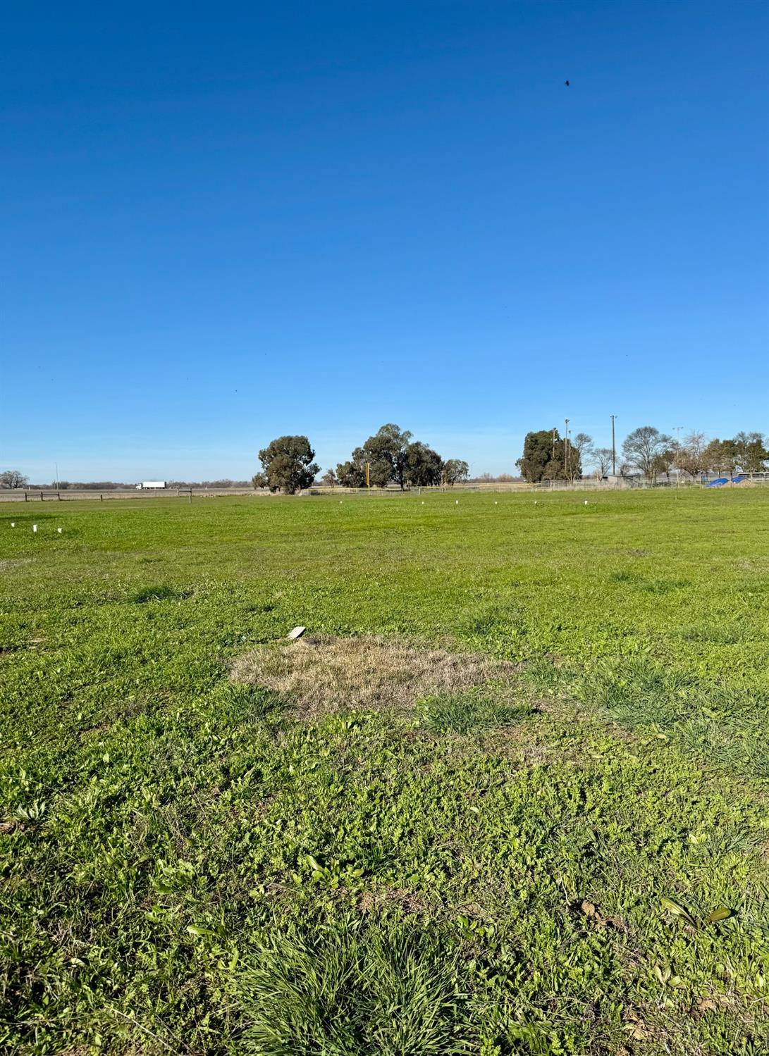 Nicolaus Avenue, Nicolaus, California image 12