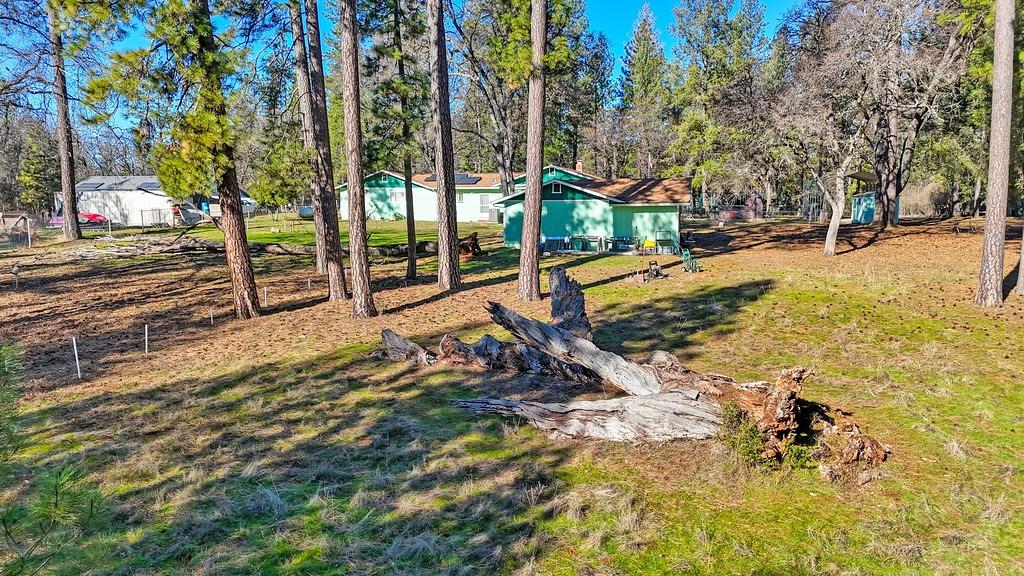Detail Gallery Image 51 of 77 For 6191 Shasta Rd, Garden Valley,  CA 95633 - 5 Beds | 2 Baths