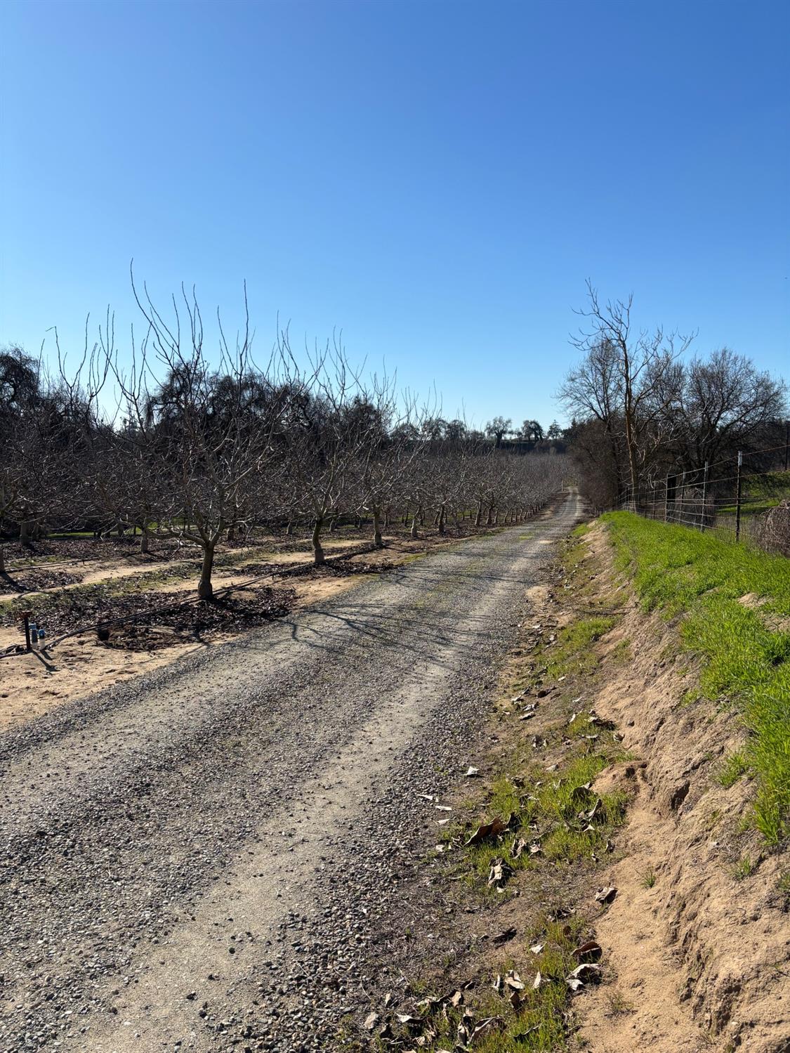 Geer Road, Modesto, California image 30