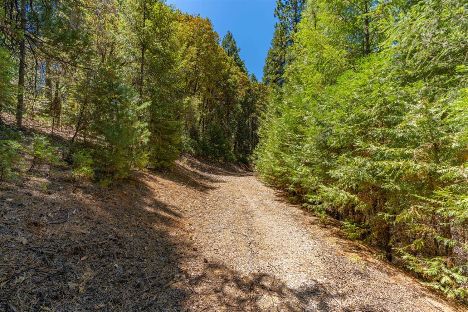 Mckenzie, Pioneer, California image 8