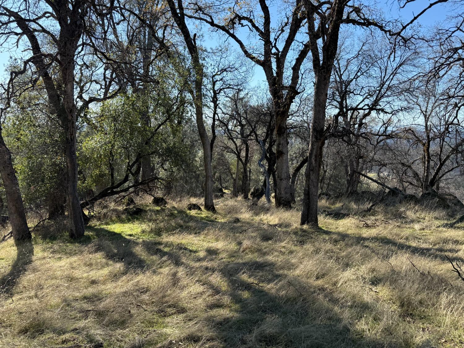 Applejack Drive, Grass Valley, California image 2