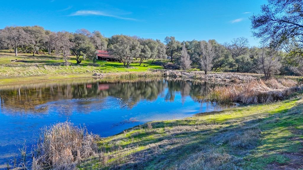 Shingle Lime Mine Road, Shingle Springs, California image 7