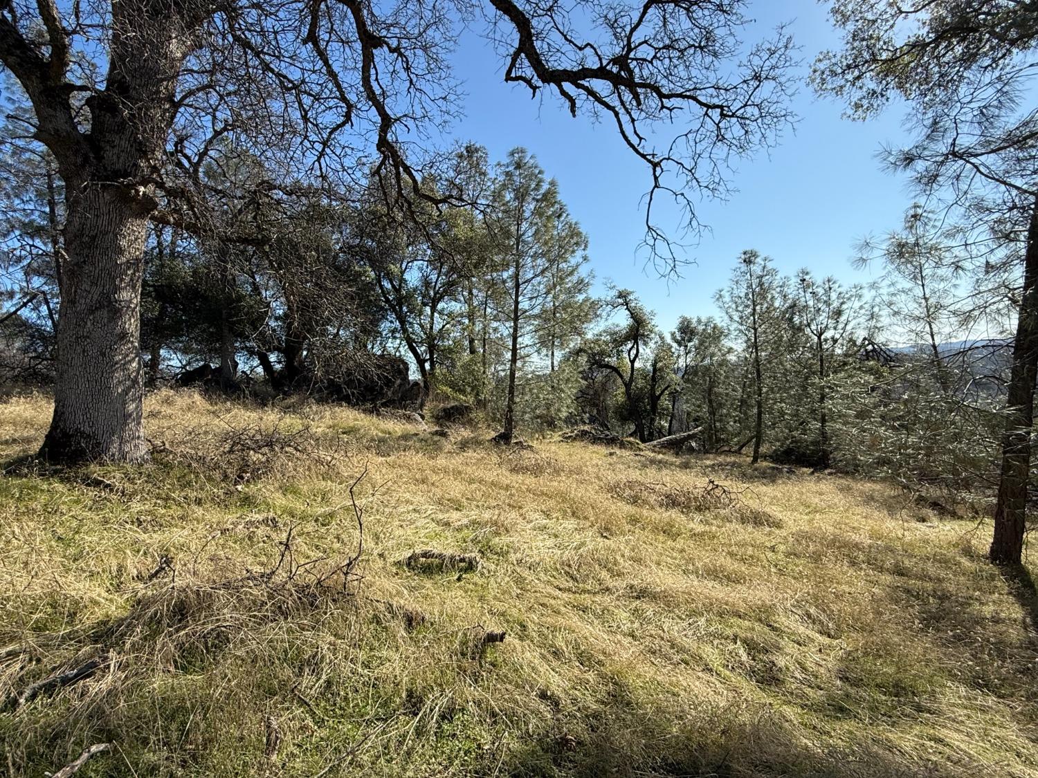 Applejack Drive, Grass Valley, California image 1