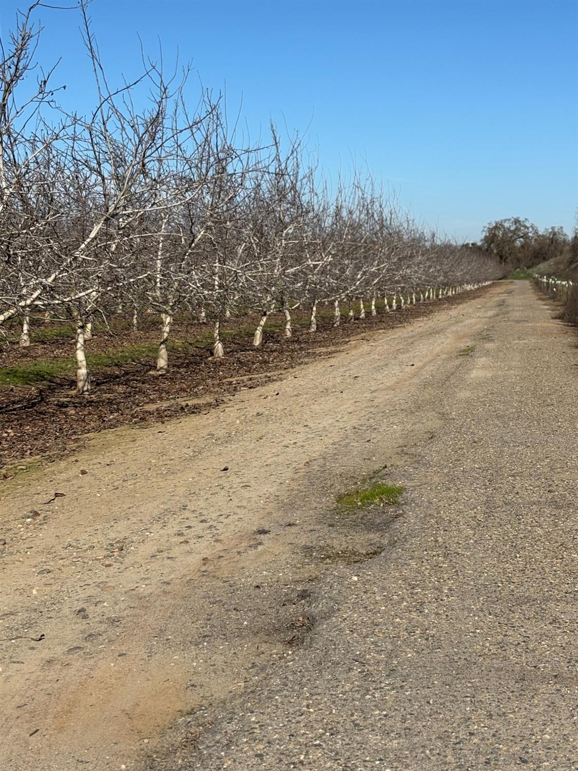 Geer Road, Modesto, California image 31